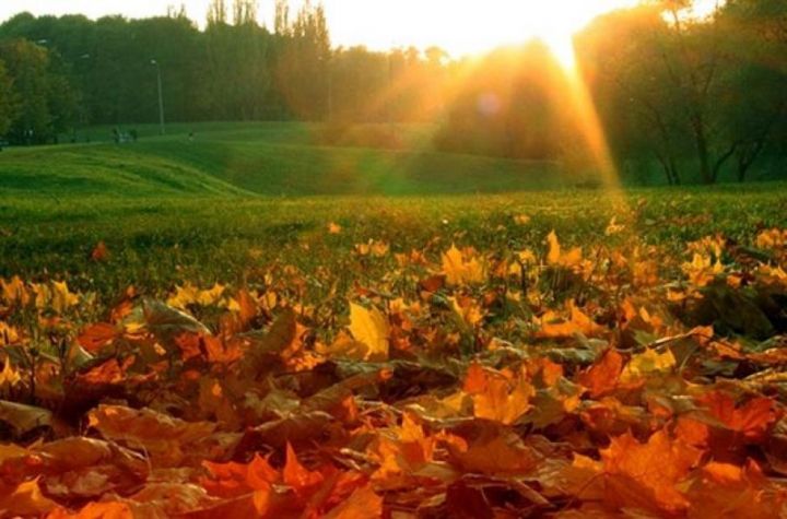 Гидрометцентр России спрогнозировал теплую погоду в сентябре