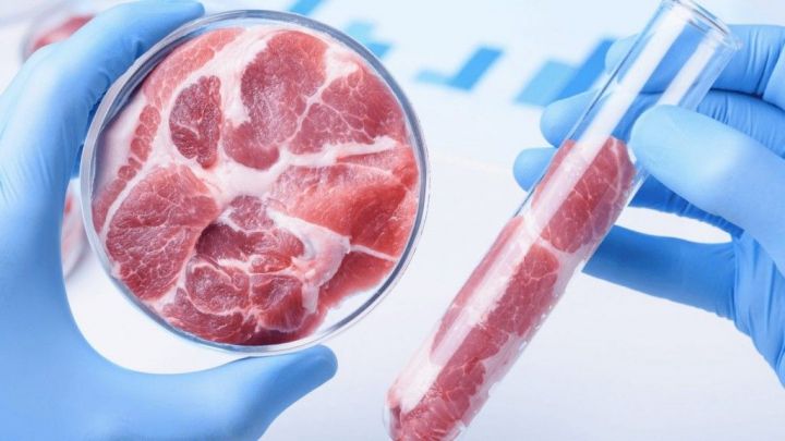 Российские ученые: Искусственно выращенное мясо может появиться на прилавках уже к 2023 году