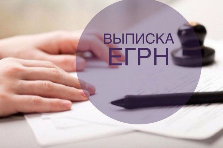 Кадастровая палата по РТ: в России запущен онлайн-сервис выдачи сведений из ЕГРН