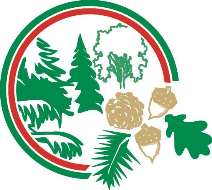 16 сентября 2019 года в республике стартует осенний этап природоохранной акции «Чистые леса Татарстана».