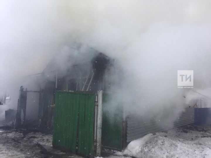 В Татарстане многодетная мать вынесла из пожара двоих детей, третий сын погиб