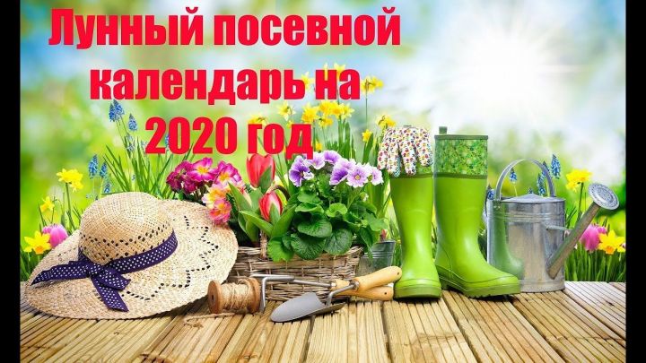 Лунный календарь 2020. Почему он так важен для дачников?