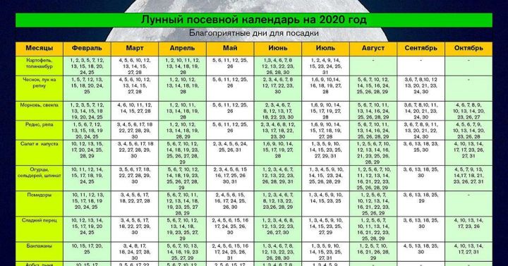 Лунный календарь 2020. Почему он так важен для дачников?