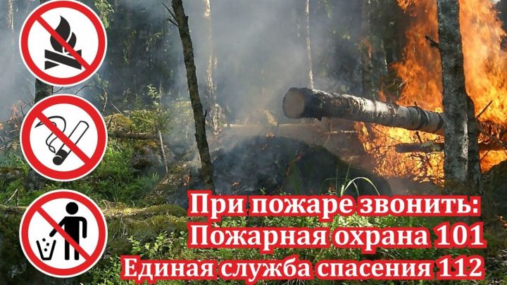 Прогноз пожарной опасности лесов на территории РТ