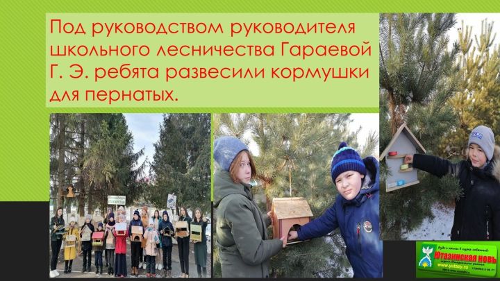 Активисты школьное лесничество "Зеленый патруль" с учениками Ютазинская СОШ провели акцию “Покормите птиц”