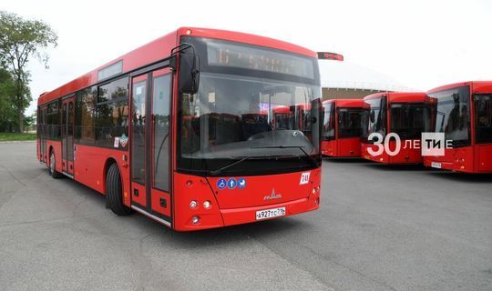 В РТ планируют возобновить реализацию проекта по аресту пассажирских автобусов за нарушения