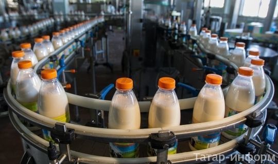 Лидеры среди районов Татарстана по&nbsp;надою молока