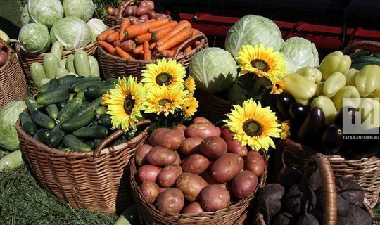 Каждый 3 городской житель Татарстана покупает продукты у фермеров 1 в месяц