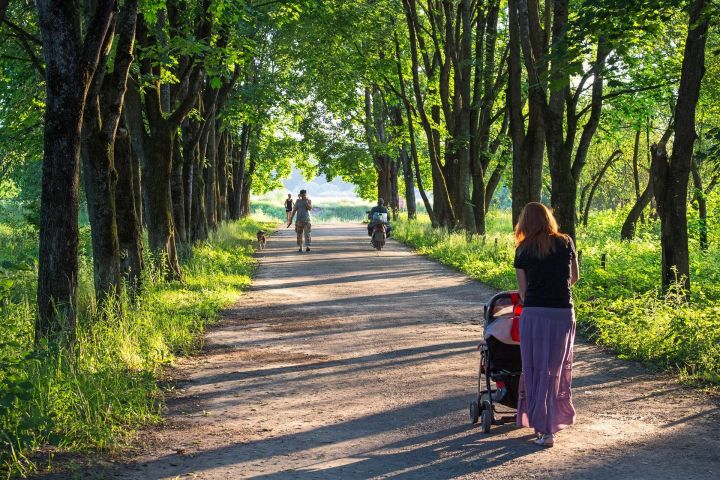 Пособие на ребенка безработной матери в 2020 году