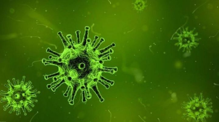 Симптомы и правила защиты от коронавируса