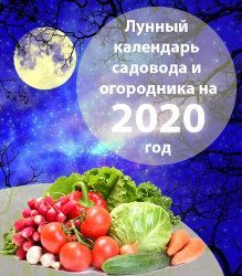 Лунный календарь огородника и садовода на вторую половину марта