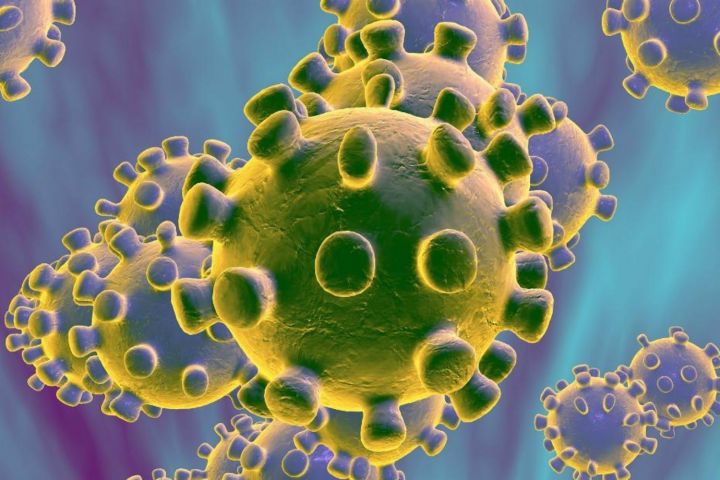Как отличить коронавирус от ангины и гриппа