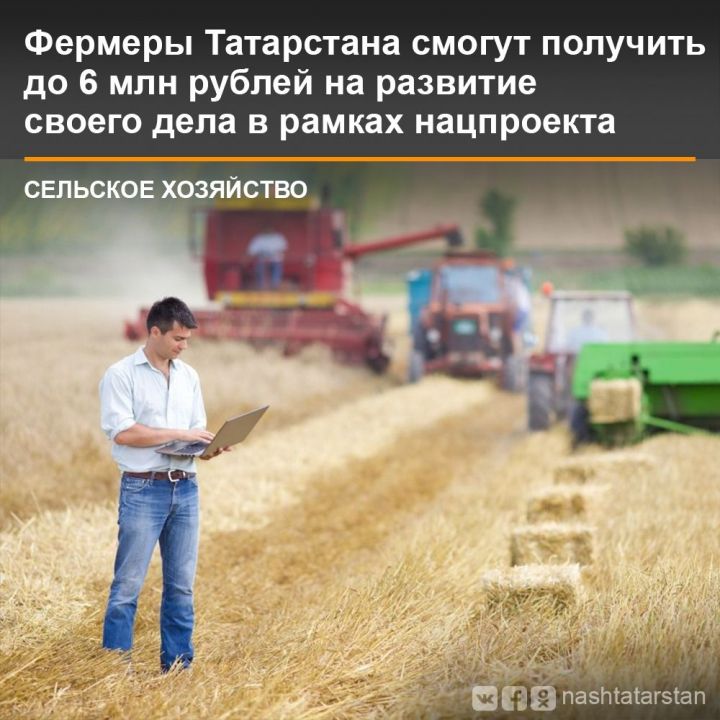 Минсельхозпрод Татарстана объявил о начале грантового конкурса