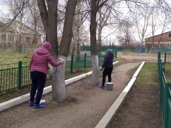 В чистом жить - здоровым быть