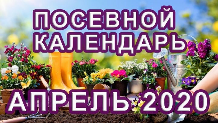 Лунно-Посевной календарь для садовода и огородника на конец  апреля 2020 года