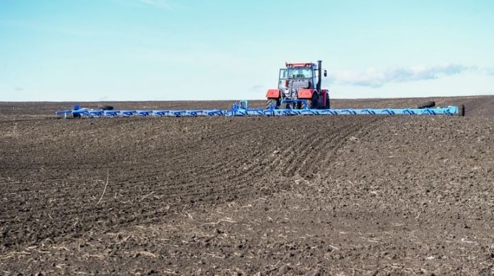 Вести с полей: 42 района Татарстана вновь вышли на сев пшеницы, ячменя и овса