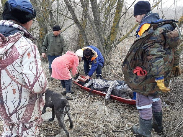В Татарстане пес нашел пропавшую женщину, упавшую в овраг