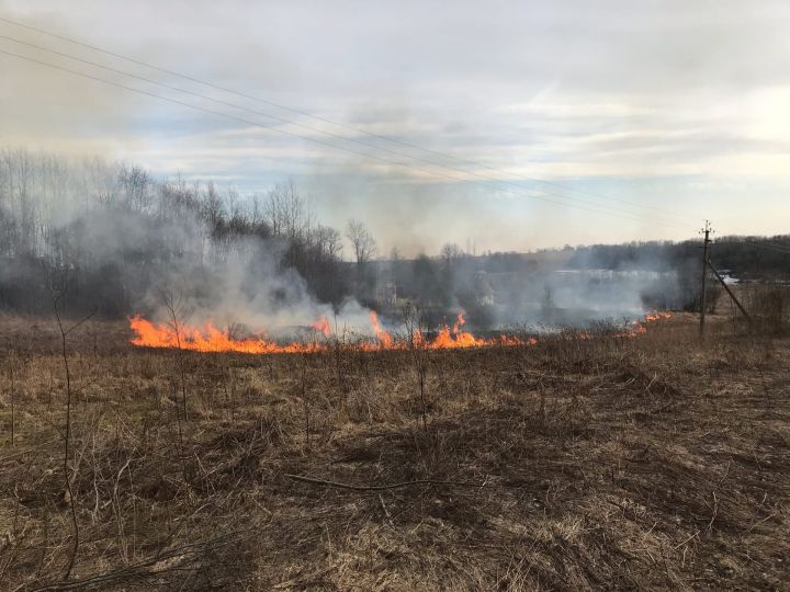 С 10 апреля разведение костров, сжигание сухой травы и мусора на всей территории РТ запрещено