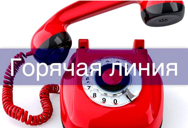 Телефонная «горячая линия» по вопросам защиты трудовых прав граждан