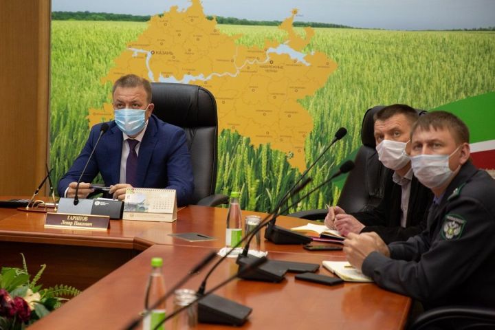Минсельхозпрод РТ по случаю Всемирного дня пчел рассказал, какие меры приняты в Татарстане по предотвращению их гибели