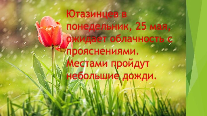 В понедельник, 25 мая, в Татарстане потеплеет до +19, возможны дожди