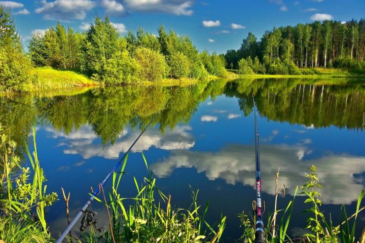 В Татарстане введут цифровой пропуск на рыбалку при самоизоляции