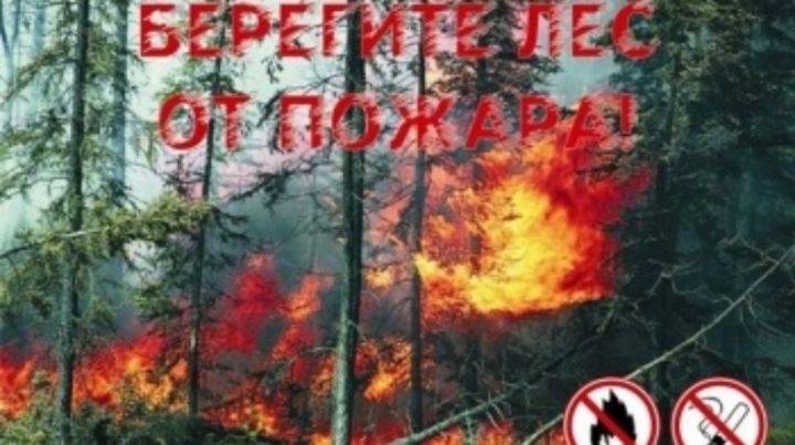 Штормовое предупреждение о высокой пожарной опасности лесов на территории Республики Татарстан