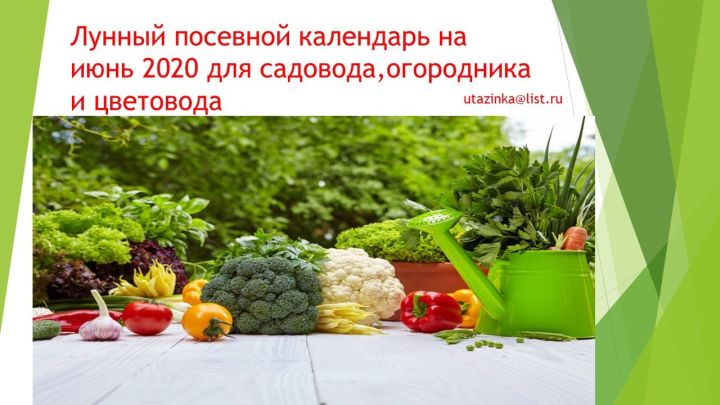 Лунный посевной календарь на июнь 2020 для садовода, огородника и цветовода?