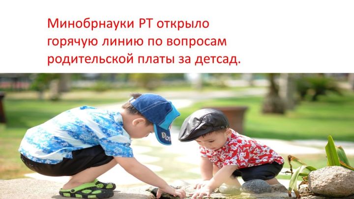 В Татарстане плата за детсады будет начисляться с учетом посещаемости