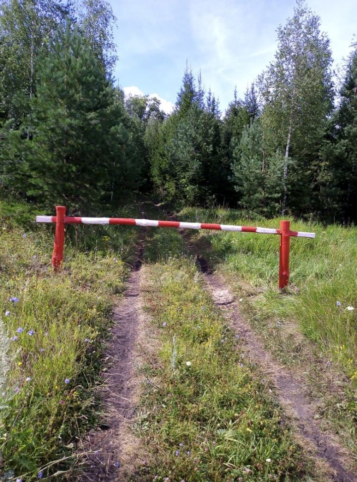 Вход в ютазинские леса запрещен