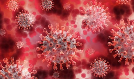 Ученые обнаружили 2 новые мутации коронавируса