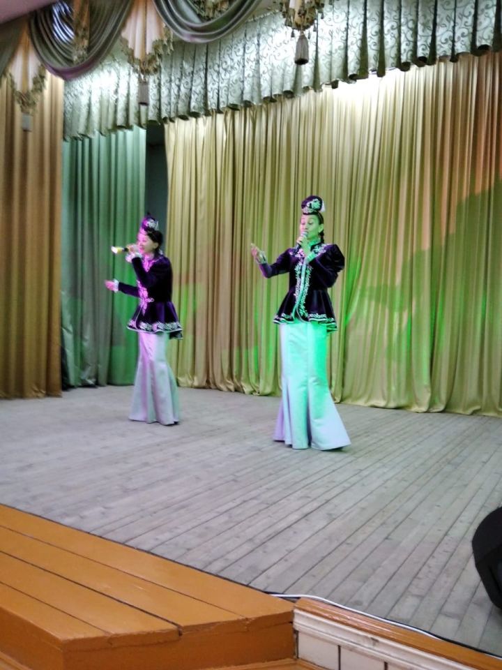 Артисты Районного Дома Культуры порадовали жителей села Байряка новогодним концертом