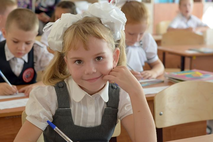 Татарстанские школьники смогут изучить финансовую грамотность на онлайн-уроках
