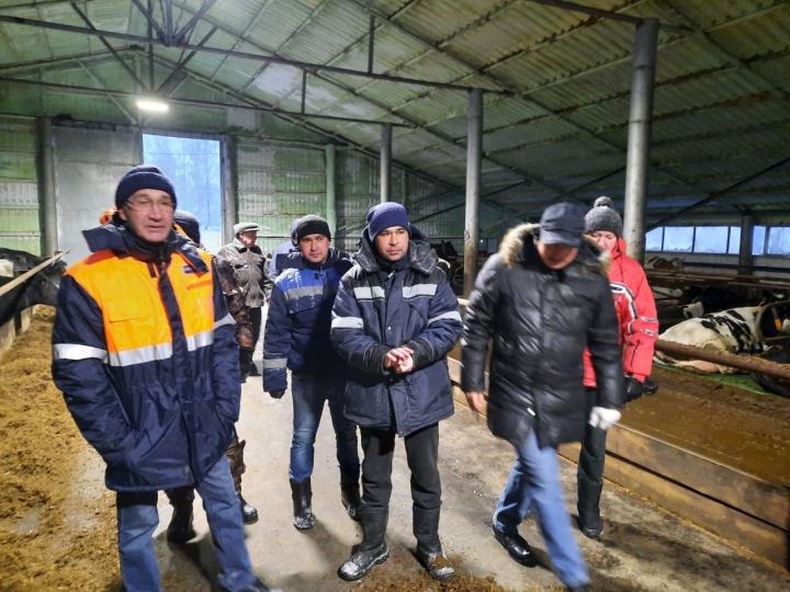 Глава района Аяз Шафигуллин посетил фермы