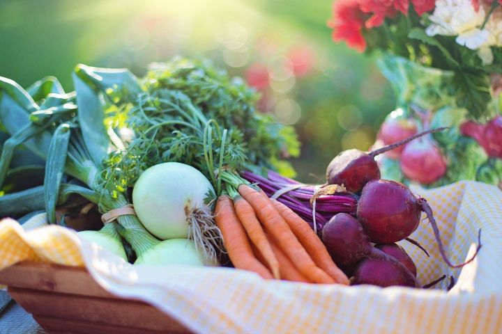 Минсельхозпрод РТ: «Поставка овощей на ярмарки повысилась вдвое»