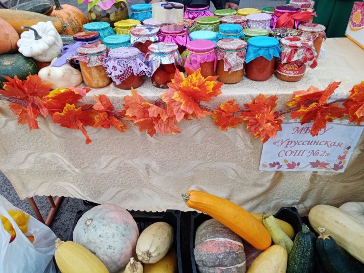 Сегодня в Уруссу ко Дню пожилого человека на территории рынка прошла ярмарка