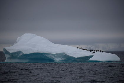 Айсберг размером с Петербург откололся от Антарктиды