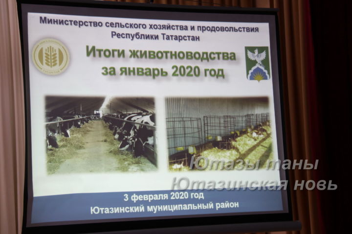 Животноводы Ютазинского района возьмут с белорусов пример?