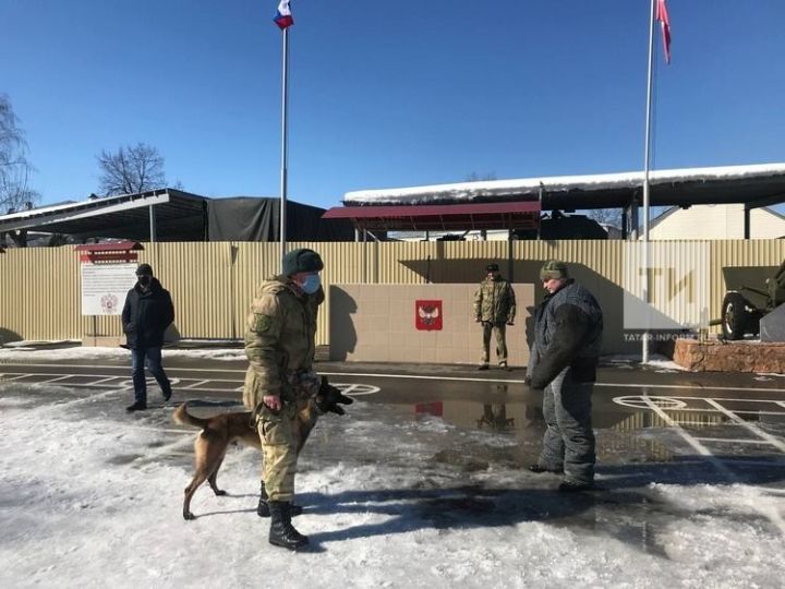 Уроки мужества и патриотизма: юнармейцам рассказали о службе в Росгвардии Татарстана