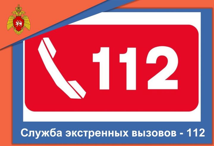 Система-112 - это система обеспечения вызова экстренных оперативных служб по единому номеру «112» на территории России