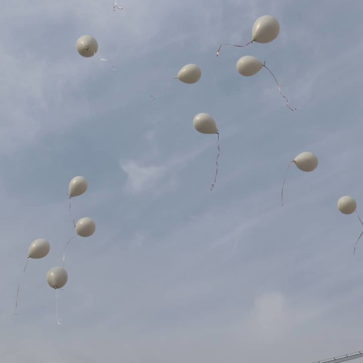 Уруссу: в день 60-летия полета Юрия Гагарина в космос взметнулись в небо белые голуби