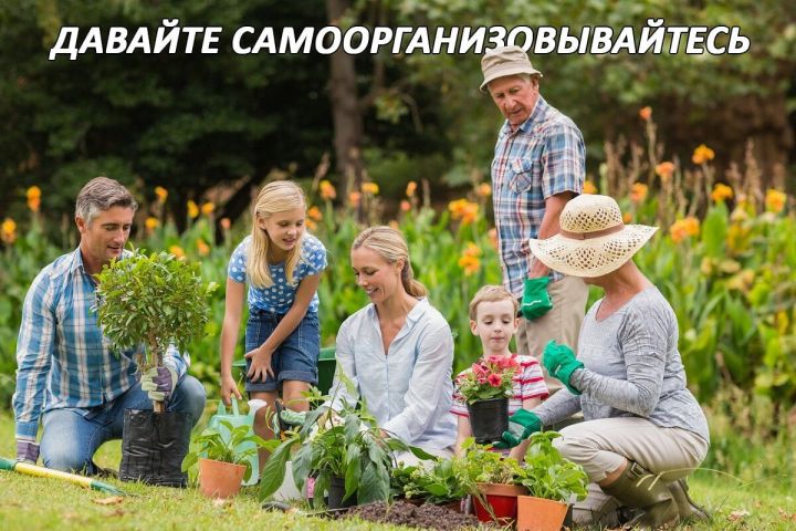 Госдума рассматривает несколько инициатив по поддержке садоводов