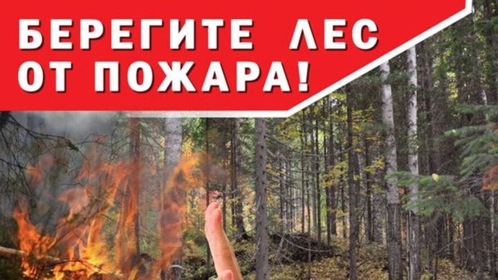 В период с 11 по 17 мая 2021 г. на территории РТ ожидается высокая пожарная опасность лесов (4 класс)