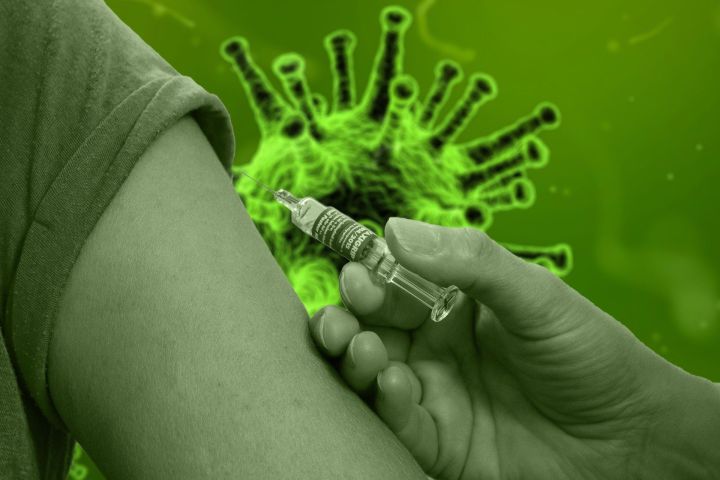Власти планируют вакцинировать от COVID-19 около 90 % населения