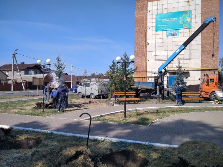 В Уруссу ведётся работа по посадке деревьев механизированным способом