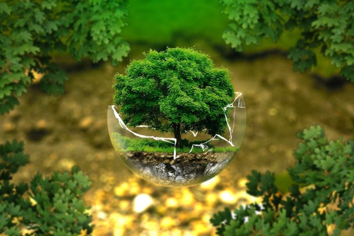 Во всех общеобразовательных учреждениях  Ютазинского района началась акция «Сдай макулатуру – спаси дерево!»