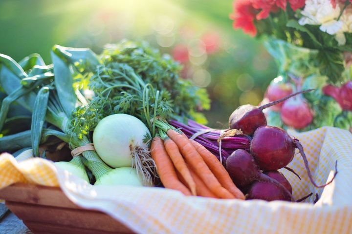 В сентябре ожидается снижение цен на овощи