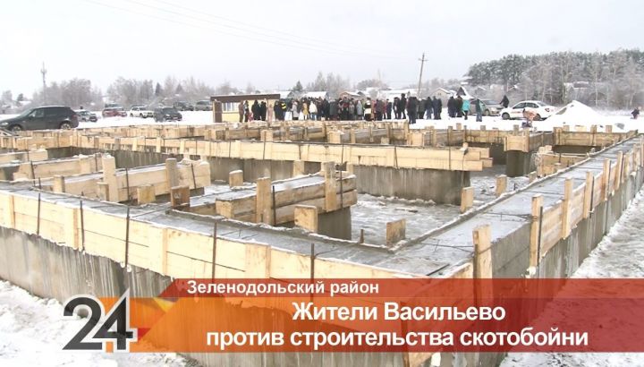 Жители Васильево против строительства скотобойни