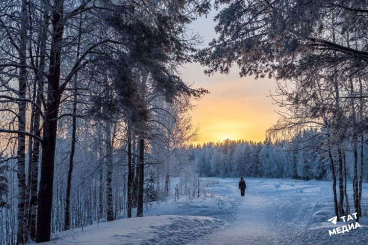 Ледяные дожди уйдут, но придут морозы: какой будет погода в Татарстане в декабре