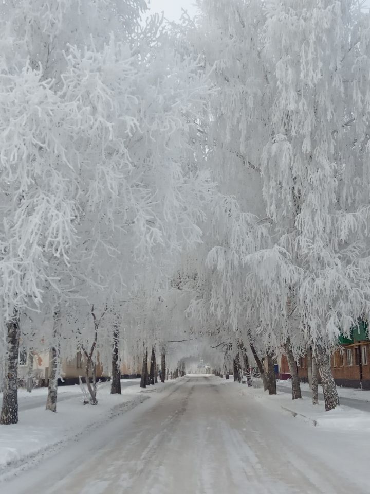 В Татарстан идет холодная зима